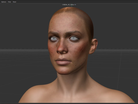 Sadie Adler 3D मॉडल