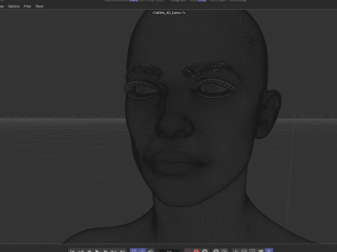 Sadie Adler 3D मॉडल