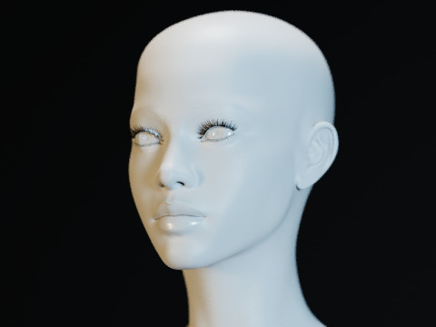 Sheva Alomar 3D Model