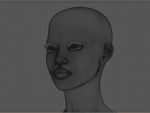 Sheva Alomar 3D Model