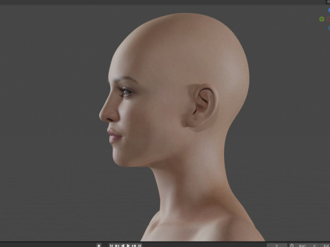 Madonna 3D Model