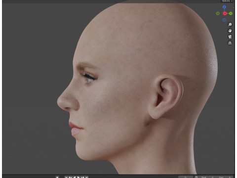 Vanessa Kirby 3Dモデル