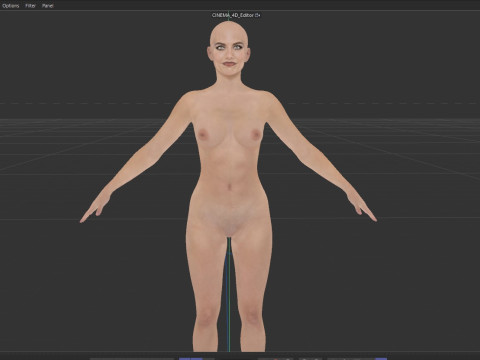 Lauren Cohan 3D Model