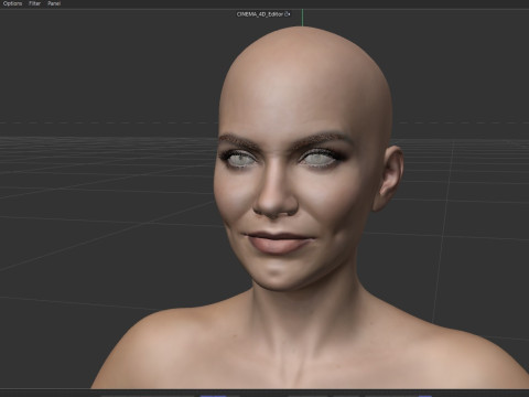 Lauren Cohan 3D Model