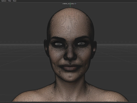 Lauren Cohan 3D Model