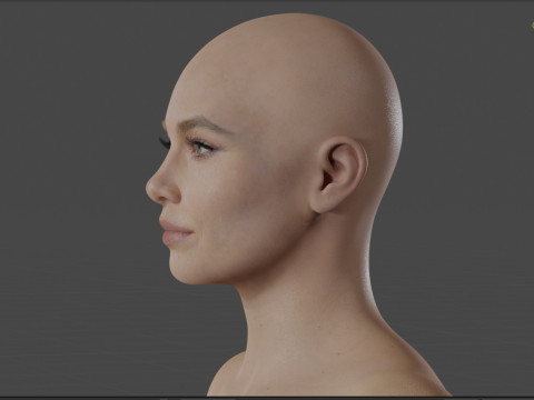 Jessica Biel 3D 模型