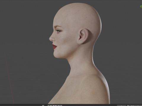 Holliday Grainger Modelo 3D