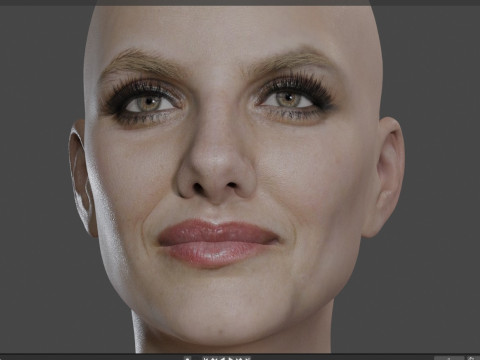 Melanie Laurent Modèle 3D