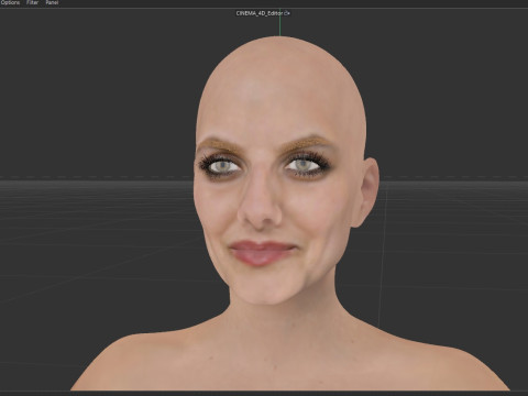 Melanie Laurent Modèle 3D