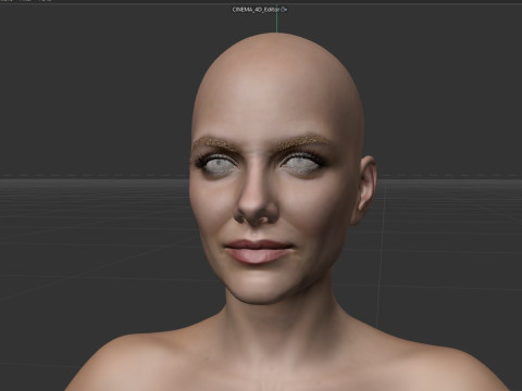 Melanie Laurent Modèle 3D