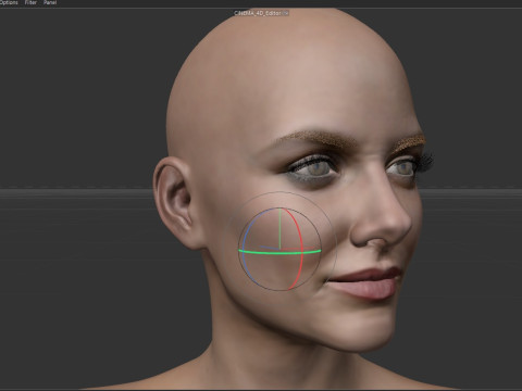 Melanie Laurent Modèle 3D