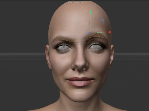 Melanie Laurent Modèle 3D