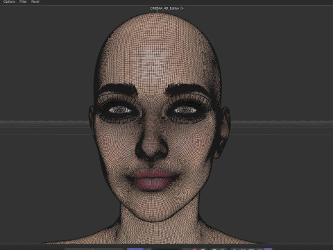 Katie Cassidy 3D Model