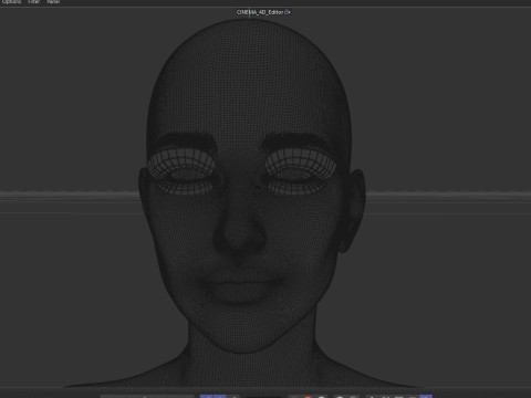 Katie Cassidy 3D Model