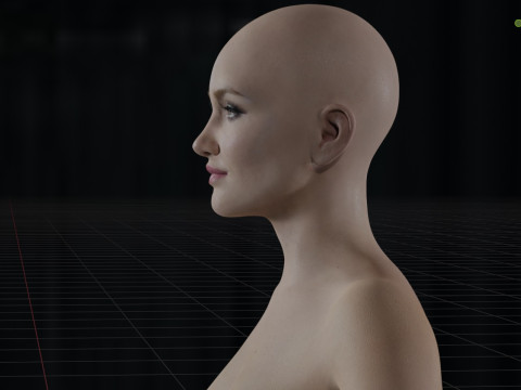 Katie Cassidy 3D Model