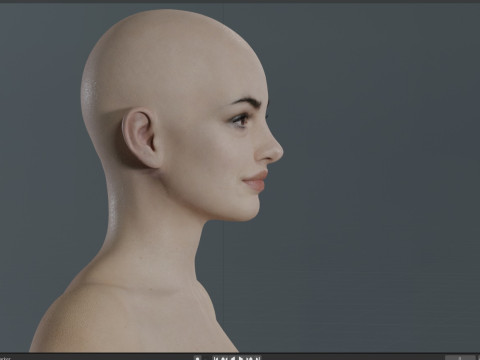 Anne Hathaway Modelo 3D
