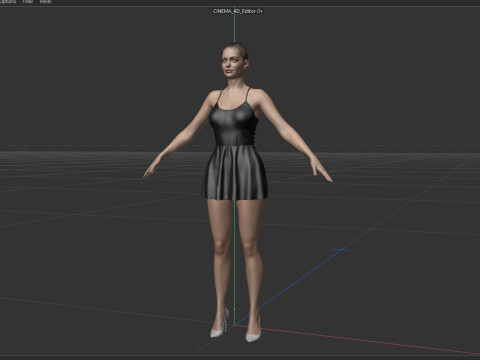 Anne Hathaway Modelo 3D