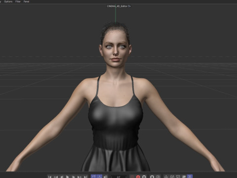Anne Hathaway Modelo 3D
