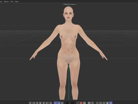 Anne Hathaway Modelo 3D