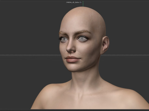 Anne Hathaway Modelo 3D