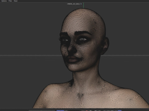 Anne Hathaway Modelo 3D