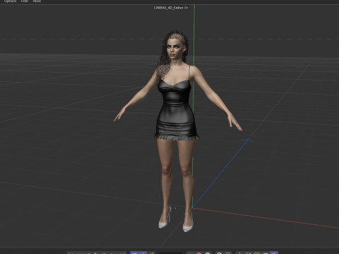 Priyanka Chopra 3D Модель