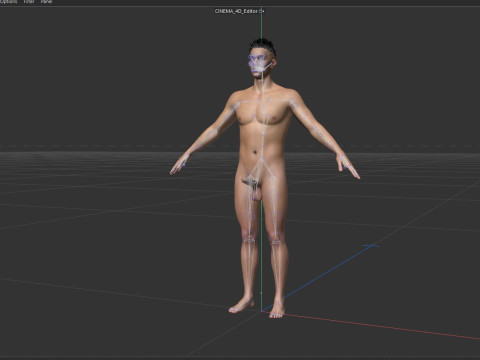 Asian Handsome Guy 3D Модель