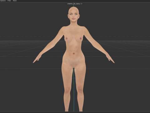 Kristin Kreuk 3D 모델