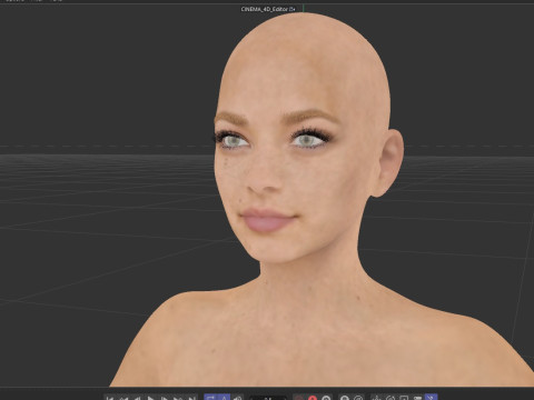 Kristin Kreuk 3D 모델