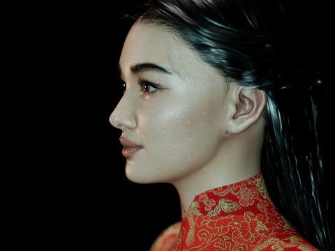Li Qin Model 3D
