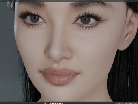 Li Qin Model 3D