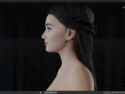 Li Qin Model 3D