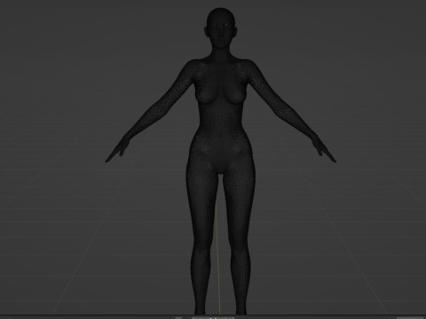 Li Qin Model 3D