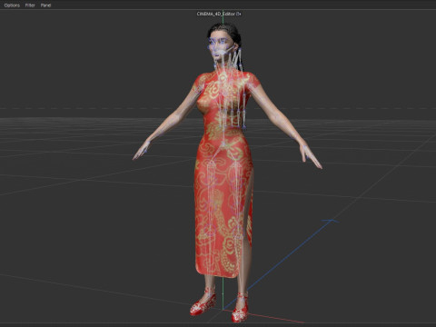 Li Qin Model 3D