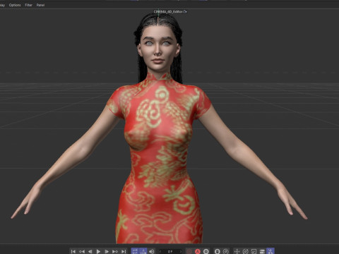 Li Qin Model 3D
