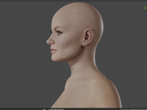 Jodie Foster 3D Модель