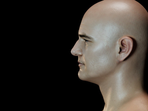 Joe Miller Pedro Style Modèle 3D