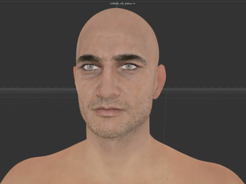 Nathan Drake 3D Model