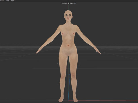 Lara Croft Model 3D