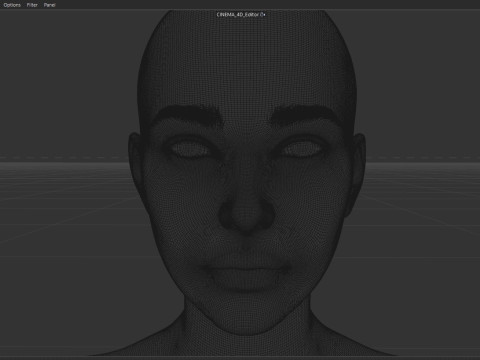 Lara Croft Model 3D