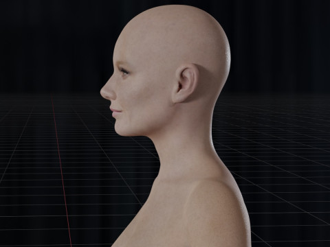 Gwyneth Paltrow Model 3D