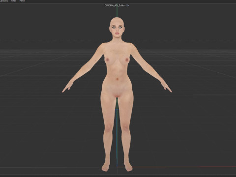 Nicola Peltz Modelo 3D