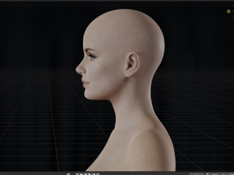 Erin Moriarty 3D Model