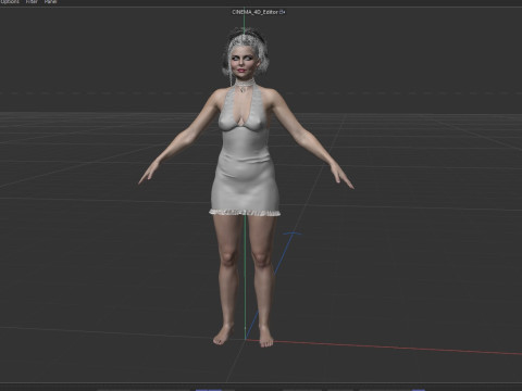 Amy Lee Evanescence Modelo 3D