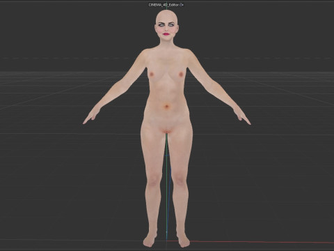 Amy Lee Evanescence Modelo 3D