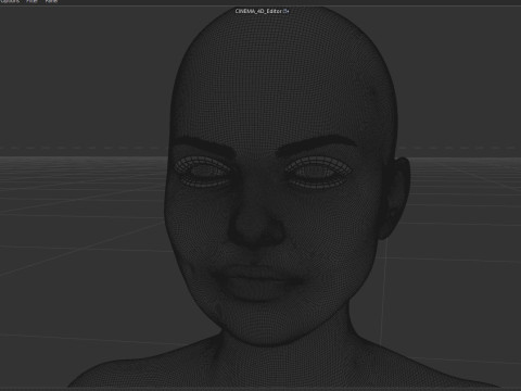 Amy Lee Evanescence Modelo 3D