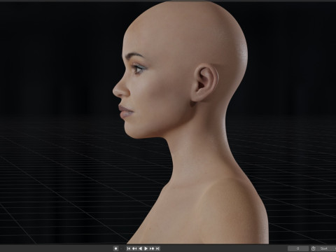 Zoe Saldana 3D Model