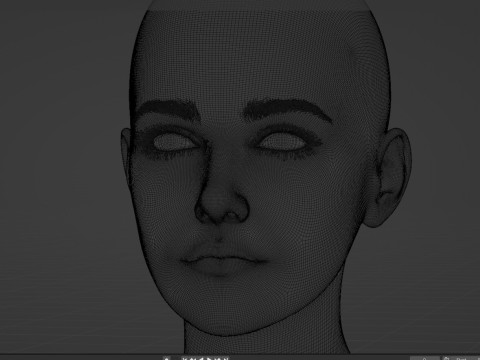 Sasha Holland Shirogane Modèle 3D