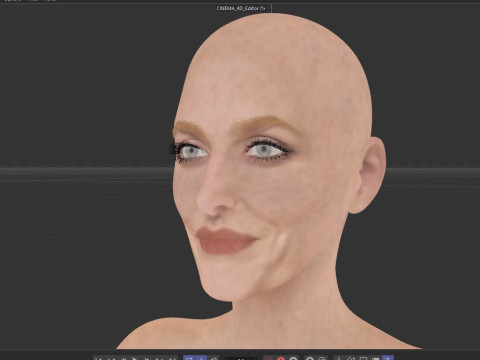 Gillian Anderson V2 3D Model