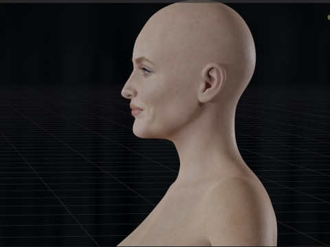 Gillian Anderson V2 3D Model